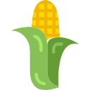 corn corn